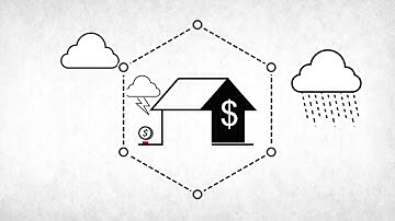 Financial system vulnerabilities: the crack in the tree