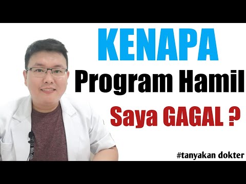 PENYEBAB PROGRAM HAMIL
