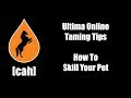 Ultima Online - UO-CAH Taming Tips - How To Skill Your Pet