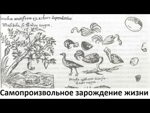 Происхождение жизни самопроизвольно. Гипотеза самопроизвольного зарождения жизни на земле. Гипотеза самопроизвольного зарождения жизни рисунок. Теория самозарождения жизни. Гипотеза самозарождения жизни рисунок.