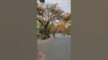 Indian University, BHU ❤️ Varanas | Satyam Upadhyay #durgamvigyansansthana #bhu #physics