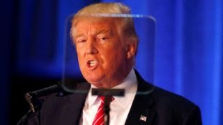 Sean Hannity previews his town hall with Donald Trump - YouTube