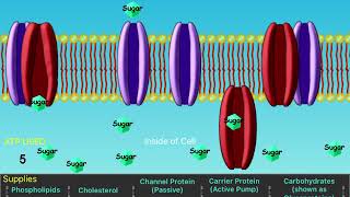 Cell Defense Membrane Game speedrun screenshot 2