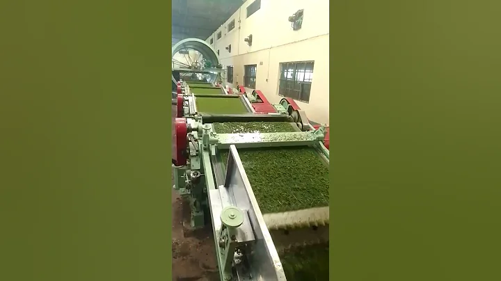 CTC tea manufacturing