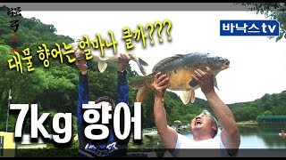 물돼지가 어떤것인지 보여드립니다 대물향어낚시 쌍포의 진한 손맛[MASTER EP.42]
