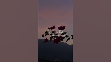 قال رب اشرح لي صدري سورة طه القارى سعود الفايز #رحيق_الايمان #quranrooheiman #quran #راحة_نفسية