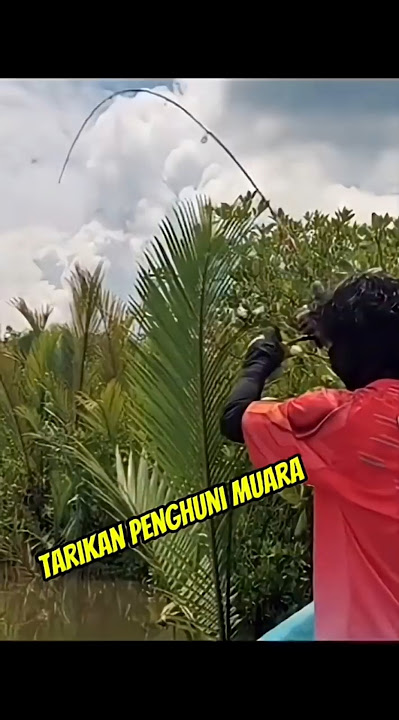 Tarikan Penghuni Muara Bkin Joran Melengkung !#MancingMuara #StrikeBrutal #SpotMuara #Fishingviral