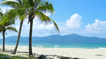 Tropical Beach & Palm Trees, Ocean Sounds, Ocean Waves, White Noise for Sleep & Relax