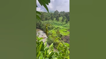 Thác Cau coffee - Bảo Lộc #camping #travel #trekking