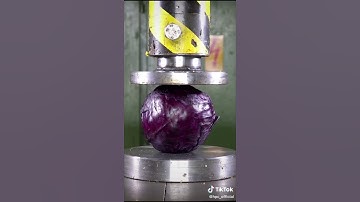 HPC vs  official Official TikTok   Watch HPC Official