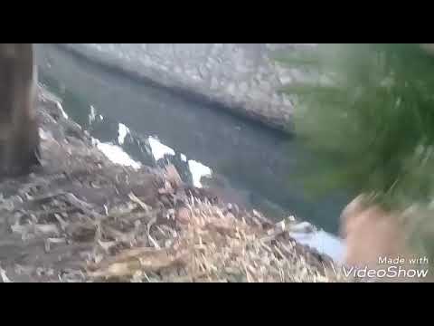 أغنية رائعة أصوات الأحباب