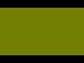Olive | #808000