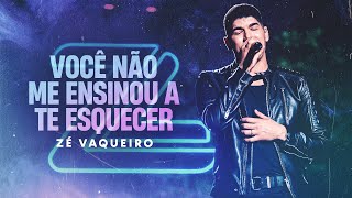 Zé Vaqueiro - VOCÊ NÃO ME ENSINOU A TE ESQUECER ZÉ VAQUEIRO (Video Oficial)