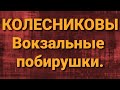 Семья Колесниковых/Новости из Дворца.