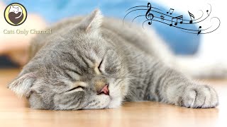 Calming Music that Gives Comfort to Cats - Deep Sleep Music (with cat purring sounds)