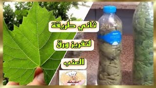 الطريقة 2 لتفريز ورق العنب في الأزايز هتخزنيه من السنه للسنه بدون ثلاجه وله فريزر ??