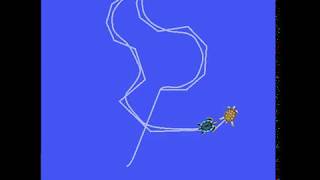 Turtle Follower
