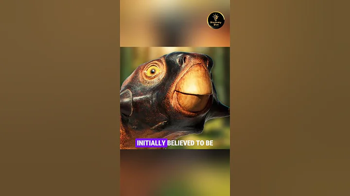 The Saddest Dinosaur Fossil !