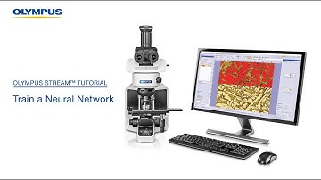 How to Train a Neural Network in OLYMPUS Stream™ Software