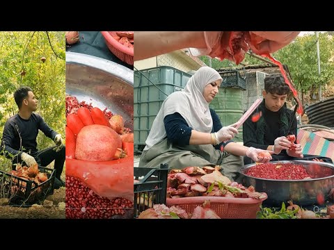 Cooking Pomegranate Molasses in the village | Molasses The Old-Fashioned Way