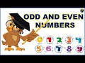 Understanding Odd and Even Numbers