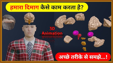 हमारा दिमाग कैसे काम करता है | How does our Brain work | 3D Animation @TheScienceNewsHindi 🔥
