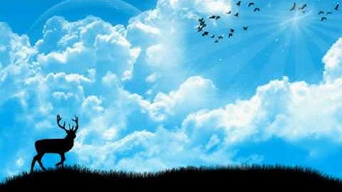 How to go to Command prompt in Windows XP an get your IP Address Settings