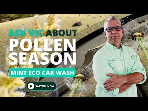 Car Wash Industry Veteran shares tips for pollen season in South Florida