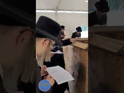 Rachmastrivka Oak & Vine Rebbe Circling His Father's Tziyun To Mark End Of Kaddish 11 Month Period