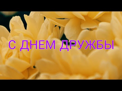 С Днем Дружбы. Международный День Дружбы. Поздравление с Днём дружбы.