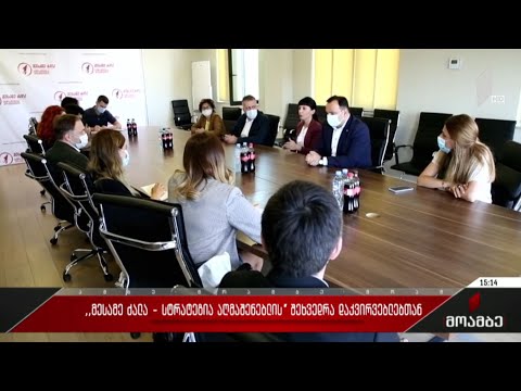 „მესამე ძალა - სტრატეგია აღმაშენებლის“ შეხვედრა დამკვირვებლებთან