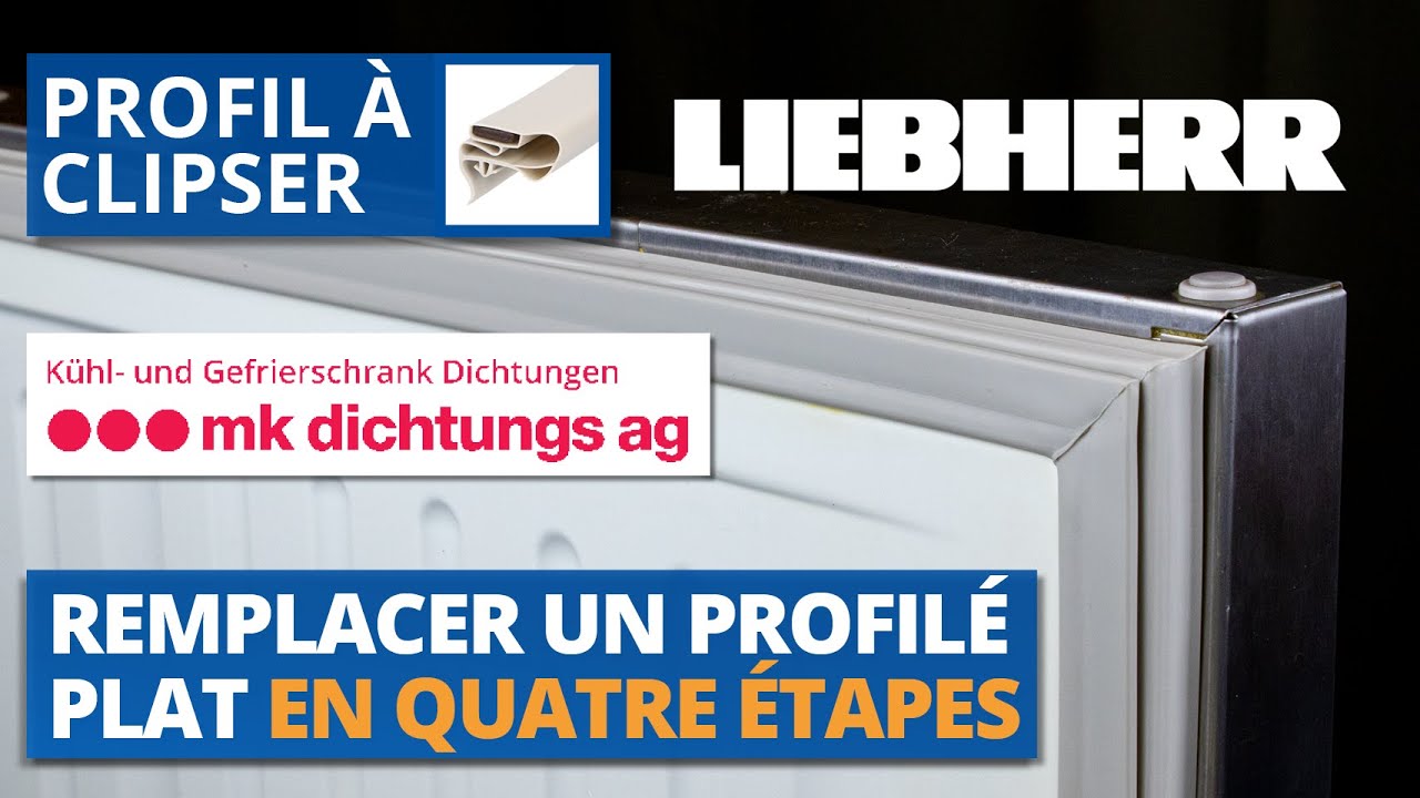 Remplacement d'un joint de réfrigérateur Liebherr en 4 étapes DSUNL — free download