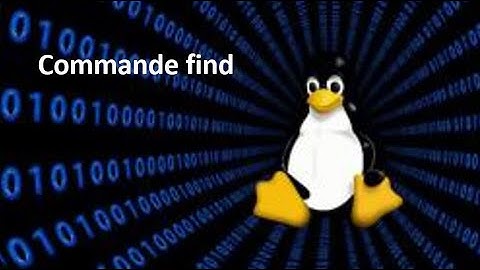 Utilisation de la Commande "find" dans Linux - LINUX [#12]