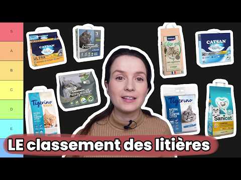 Vidéo de présentation