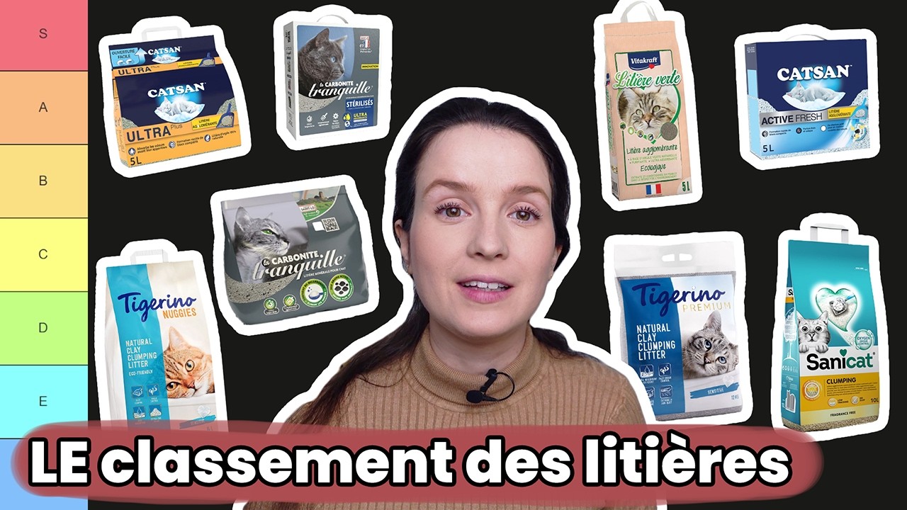 Quelle est la meilleure litière pour chat ? Je teste 14 références !