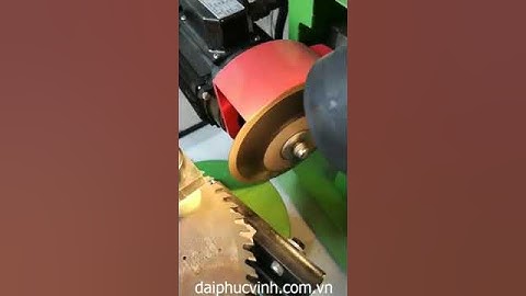 MÁY MÀI LƯỠI CƯA ĐĨA HỢP KIM TỰ ĐỘNG BẺ ĐỘ Tốt nhất thị trường vn