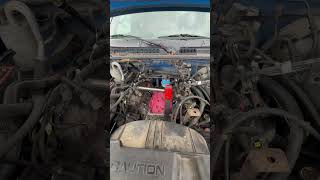 2000 Dodge Dakota 3.9v6 magnum plenum gasket replacement #localmechanic #autorepair