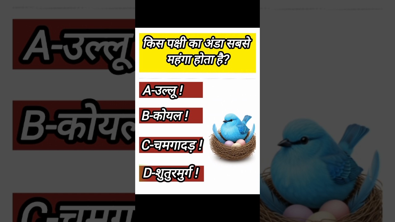 🔥 5 दिमाग हिला देने वाले GK सवाल | General Knowledge Shorts