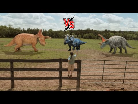 Triceratops And Kosmoceratops Vs Diabloceratops Dino Dana 2017 