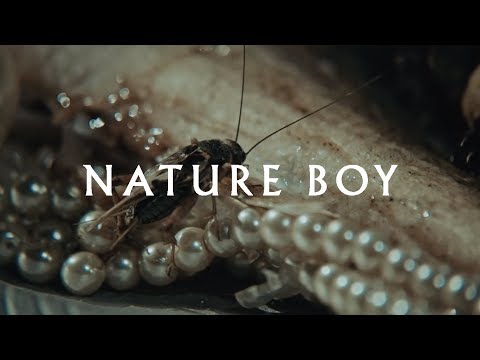 07 - Thiago Pethit - Nature Boy (Official Audio)