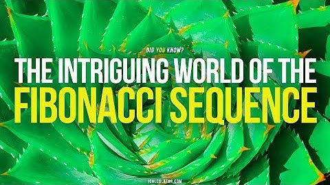 Did You Know? The Intriguing World of the Fibonacci Sequence