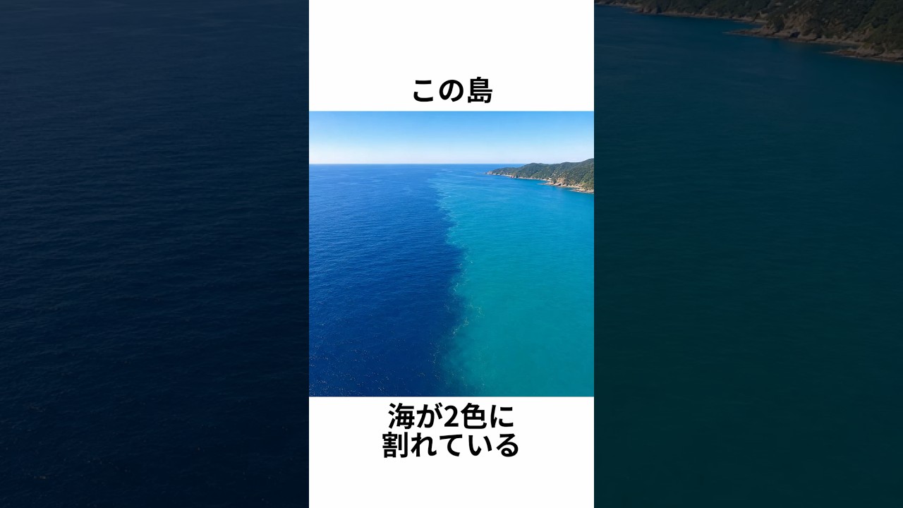 この海、真っ二つに割れている。