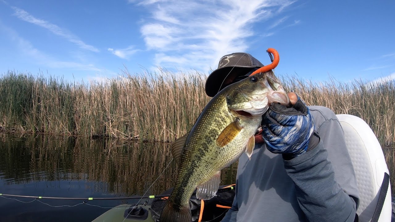 Kicker stick,  Orange Crush,,C3_baits