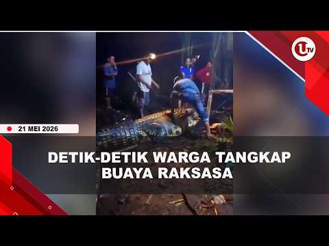 GEGER, WARGA SAMBAS TANGKAP BUAYA RAKSASA SEPANJANG 4,6 METER | U-NEWS