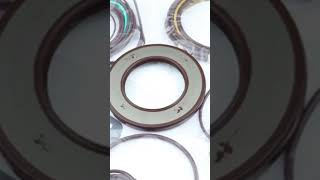 A4VG145 Hydraulic Pump Seal Kit R902095800 R902095806 2124534 Repair Seal Kit NBR FKM