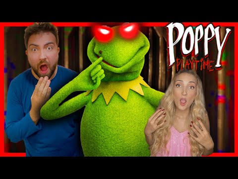 Video: Kermit Hafta Net Değeri