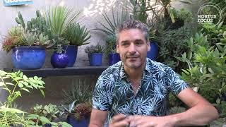 Visite de jardin : Le Jardin de Besignoles, le paradis exotique d'Anthony Bazin