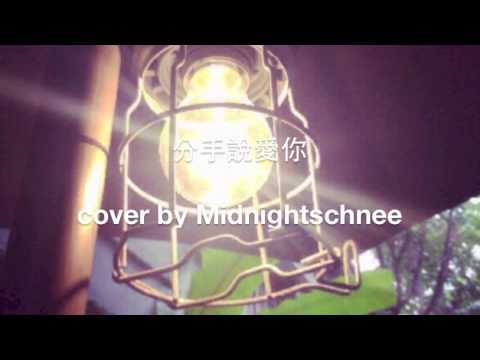 分手說愛你 cover by Midnightschnee