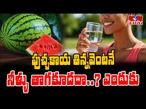 To The Point : పుచ్చకాయ తిన్నవెంటనే నీళ్ళు తాగకూడదా ఎందుకు | watermelon | hmtv