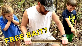 Famous Worm Grunting: Making Worms Come Out of the Ground for Fishing Profile